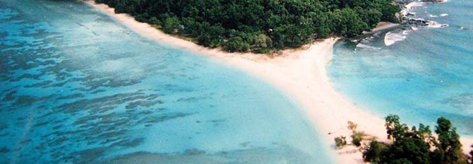 Nature Up Close-Andaman Beach Travels